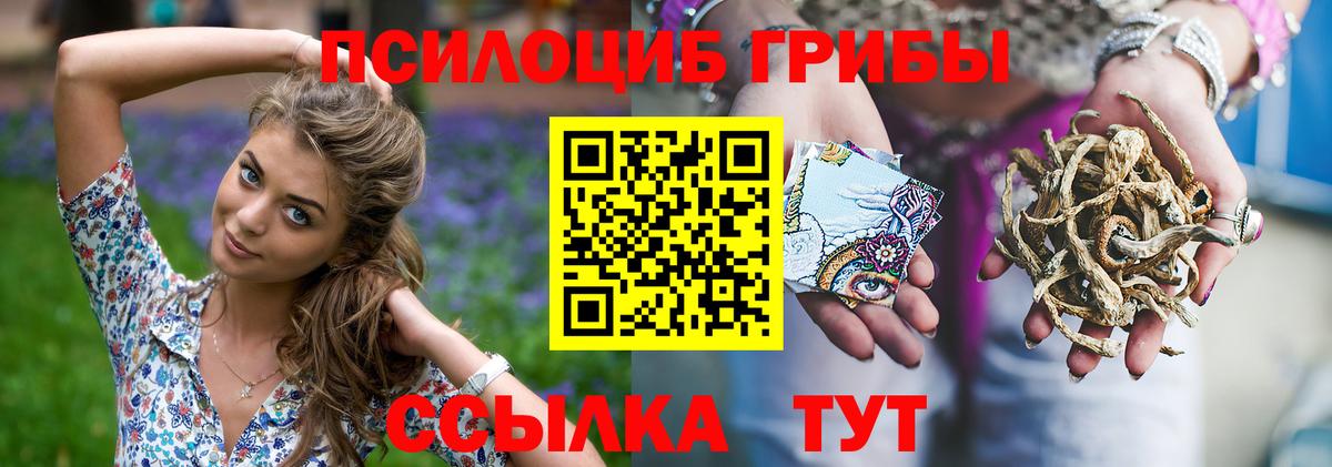 Псилоцибиновые грибы прущие грибы Саянск